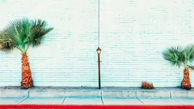 Will lawrence lsm Dwal VEFY unsplash