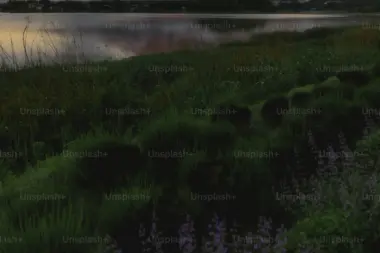 Premium photo 1749751600727 3fb5c8af5c29