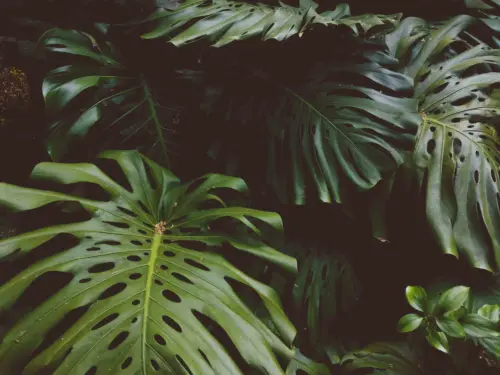 Photo 1584698019502 662f00ce1a06